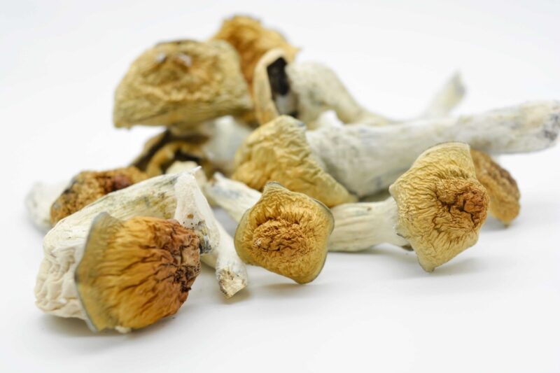 Penis Envy Magic Mushrooms - Image 3