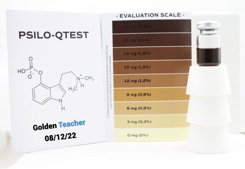 Golden Teacher Magic Mushrooms - Image 3