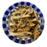 Golden Teacher Magic Mushrooms Golden Teacher Magic Mushrooms